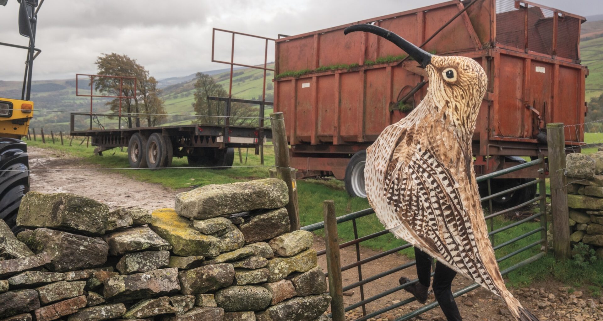 A man in a brown spotted Eurasian curlew bird costume opens a gate on a farm.
