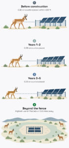 Wyoming pronghorn increasingly avoided Sweetwater solar farm, with close encounters dropping 94% over five years of tracking 2 INFG Pronghorn in southwest Wyoming kept giving the 80 megawatt Sweetwater solar farm a wider and wider berth