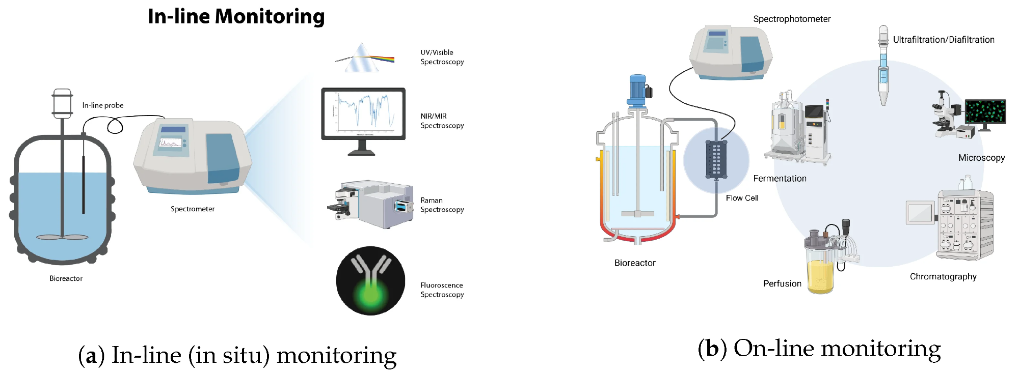 In-line monitoring places analytical probes directly within the bioreactor, whereas on-line monitoring directs process material to an external flow cell for analysis. The schematic also illustrates spectroscopic techniques and representative upstream and downstream bioprocess operations. Image credit: Diagram comparing in-line and on-line bioprocess monitoring. In-line monitoring uses a probe inserted directly into a bioreactor for UV/visible, NIR/MIR, Raman, or fluorescence spectroscopy, while on-line monitoring routes process material through a flow cell connected to a spectrophotometer and associated bioprocess operations.
