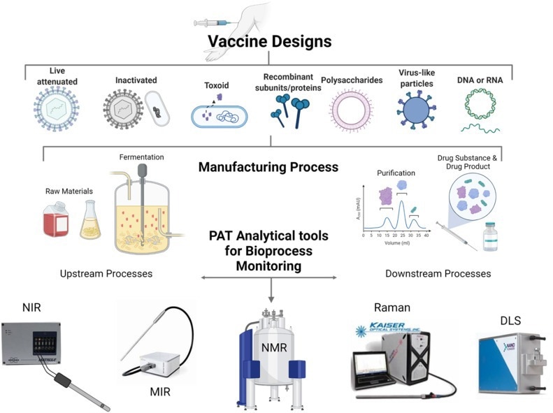 The schematic links upstream fermentation and downstream purification with analytical technologies including NIR, MIR, NMR, Raman spectroscopy, and dynamic light scattering (DLS), illustrating how PAT can support monitoring across multiple stages of manufacturing. Overview of process analytical technology in vaccine and biopharmaceutical manufacturing, showing vaccine designs, upstream fermentation, downstream purification and drug-product processing, and PAT analytical tools including NIR, MIR, NMR, Raman spectroscopy, and dynamic light scattering