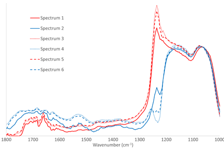 The IR spectra above is from 260 nm regions of interest with the positions indicated. Note both the substantial spectral variation over 260 nm length scales and spectral similarity in the alternating regions of the periodic structures (striae) in the diatom frustule. Spectra are normalized to 1072 cm-1