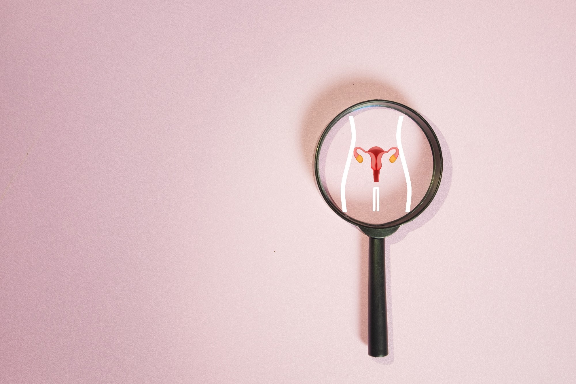 Magnifying glass focusing on uterus and ovaries icon
