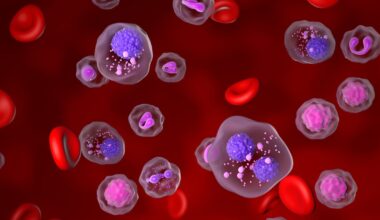 Irish researchers discover how cancers evade chemotherapy by entering ‘zombie-like state’ – The Irish Times