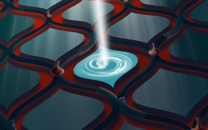 hybrid quantum