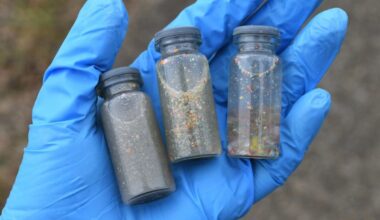 Microplastics Are Chemically Alive and Probably Up to No Good
