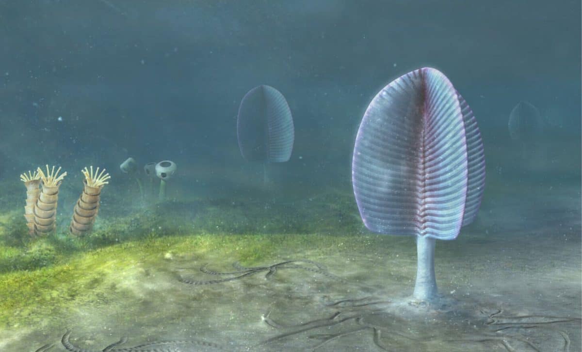 Paleontologists Found Perfectly Preserved Microfossils In Mongolia, But The Animals Everyone Expected Were Missing