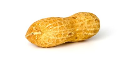 Before the first bite: A missing gut protein may set the stage for peanut allergy