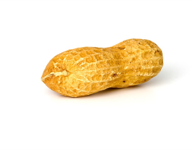 Before the first bite: A missing gut protein may set the stage for peanut allergy