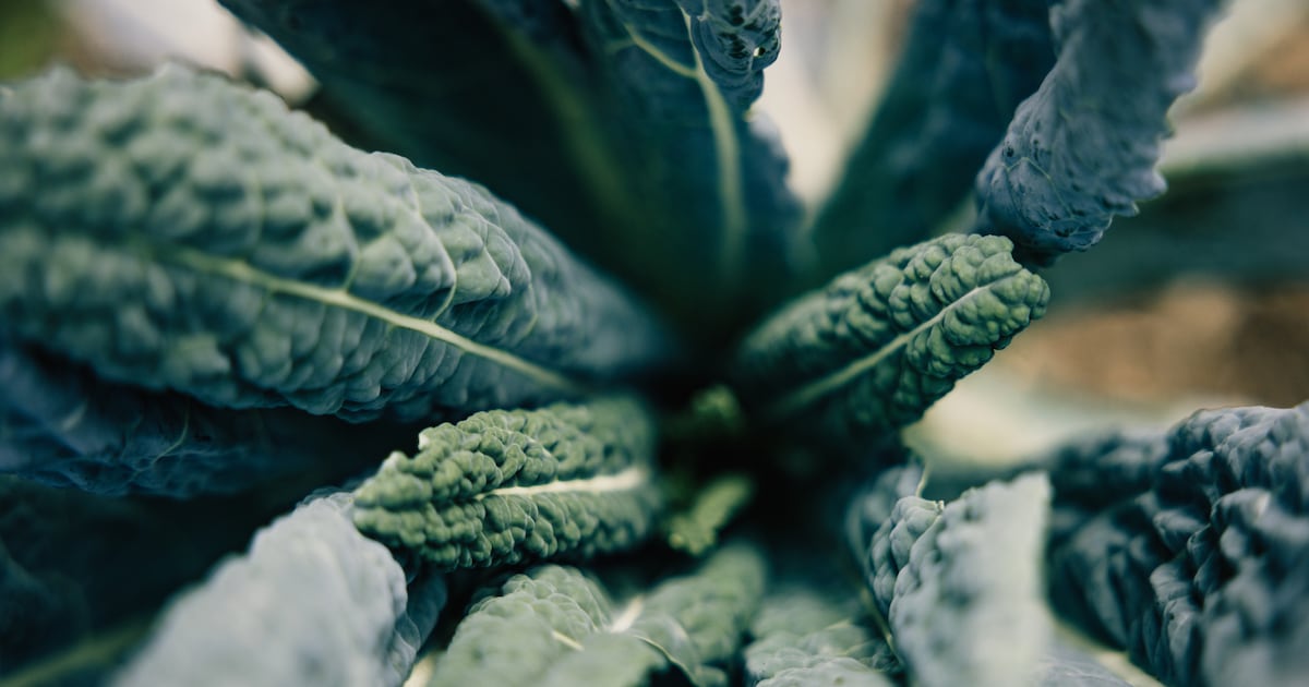Sulforaphane supplement moves conversion before consumption