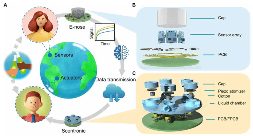 A diagram showing how OSU's Scentronic works. 