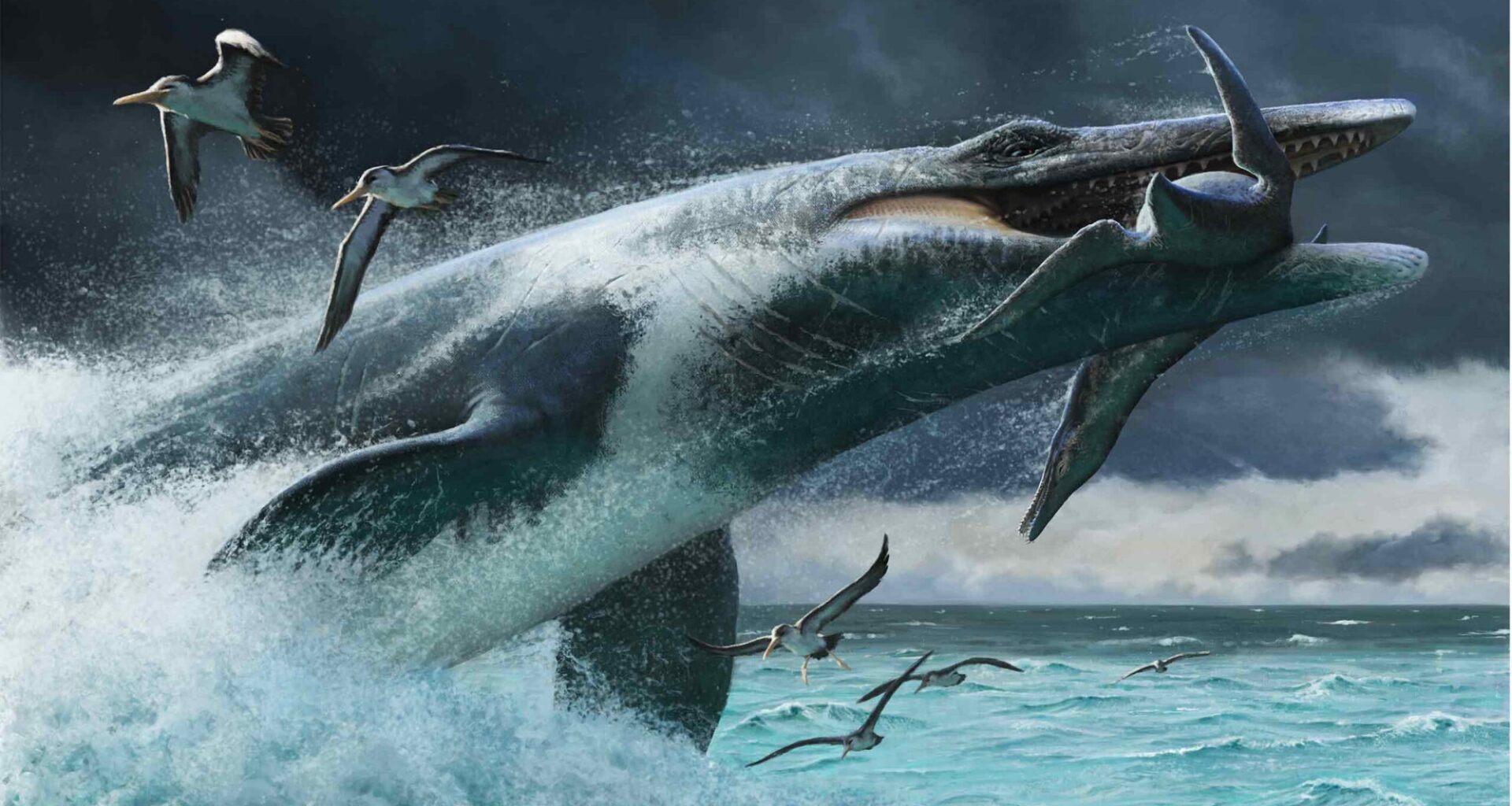 Mosasaur tails reveal which ancient ocean predators were built for surprise attacks