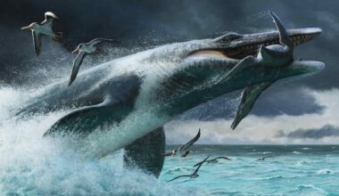 Mosasaur tails reveal which ancient ocean predators were built for surprise attacks