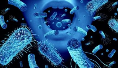 Machine learning models predict pathogen risk in drinking water