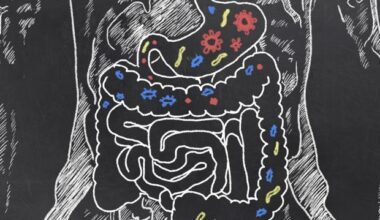 New antibiotic combinations aim to prevent recurrent bacterial vaginosis