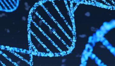 Novel gene rejuvenation therapy preserves cell identity while reversing age