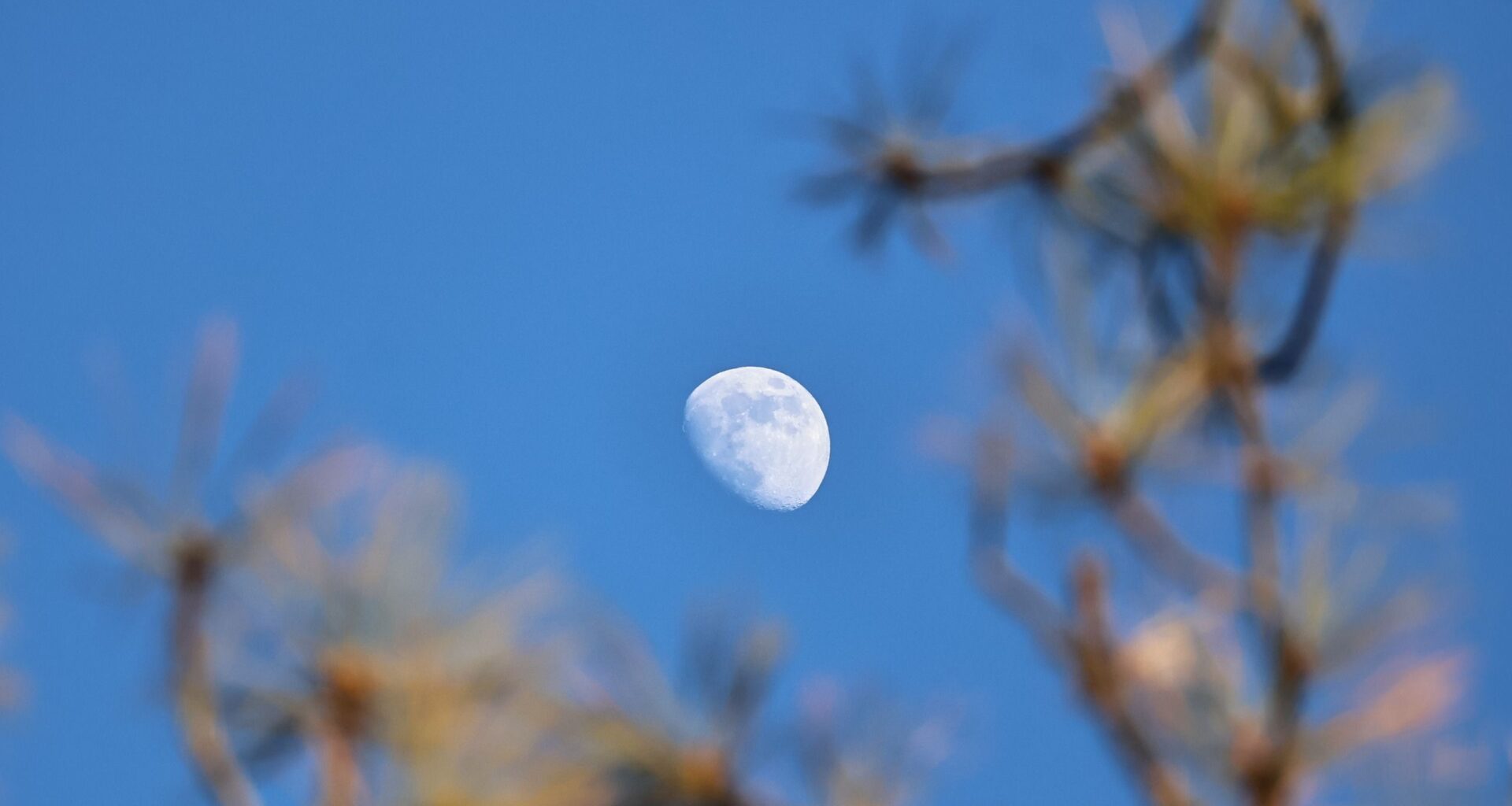 Why can you see the moon during the day? This week is the perfect time to find out