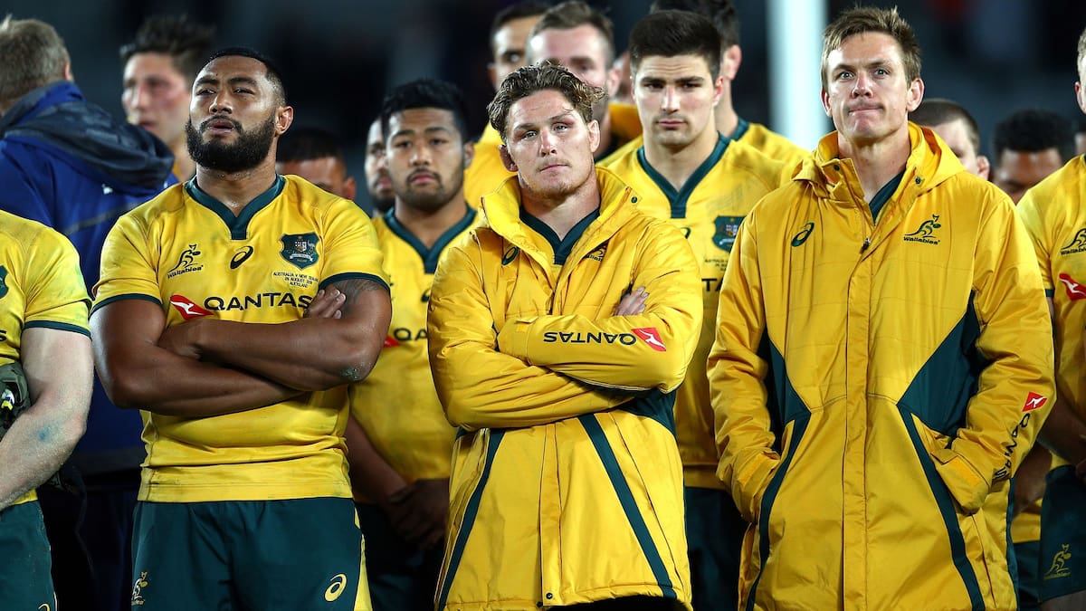 Bledisloe Cup rugby: A dummies’ guide to the Wallabies’ Eden Park hoodoo against the All Blacks – 40 years without a win