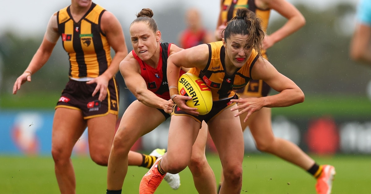 Match report: Hawthorn Hawks put one foot in finals after surviving Essendon Bombers slog