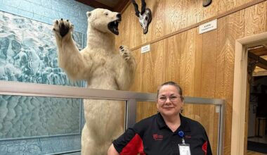 Hundreds Of Eyes: Alone After Dark With 450 Dead Animals At Casper Wildlife Museum