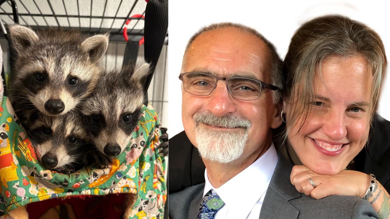 A 53-acre property dedicated to wildlife rehabilitation<br>