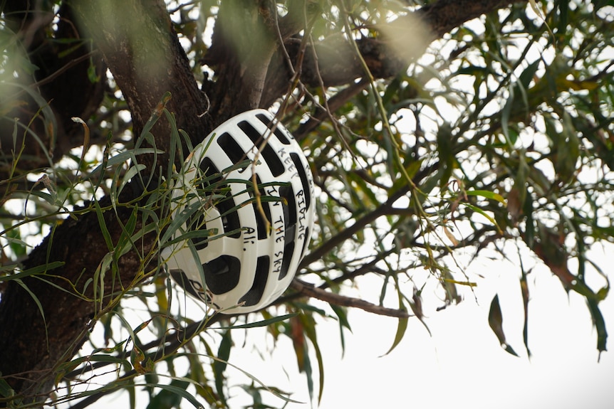 A white helmet in a tree with the message 'keep riding in the sky'