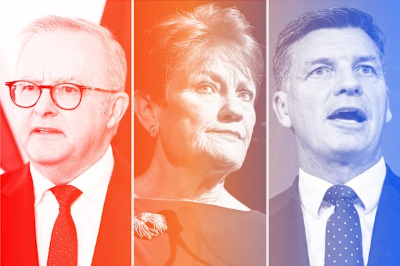 One Nation leader Pauline Hanson’s popularity flagged in the past month while there was not a lot of movement for Prime Minister Anthony Albanese and Opposition Leader Angus Taylor. 