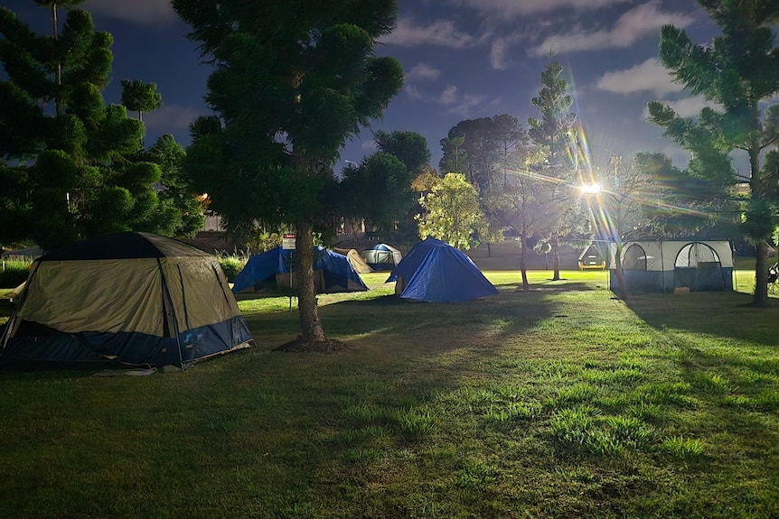 Tents in a park