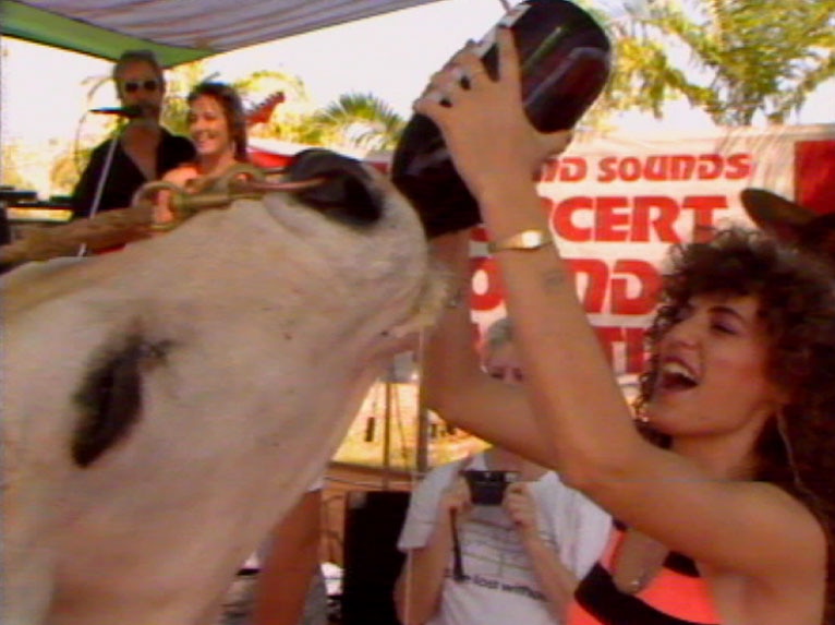 A large bull drinks a giant bottle of beer being held to its mouth by a smiling, curly-haired woman.