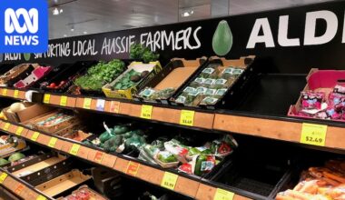 Perfection Fresh admits fixing the price of vegetables sold to Aldi in NSW