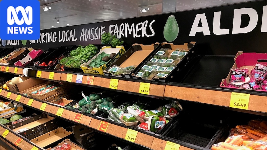Perfection Fresh admits fixing the price of vegetables sold to Aldi in NSW