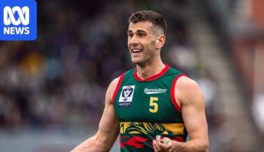 Robbie Fox axing from Devils VFL team not due to single incident, club says