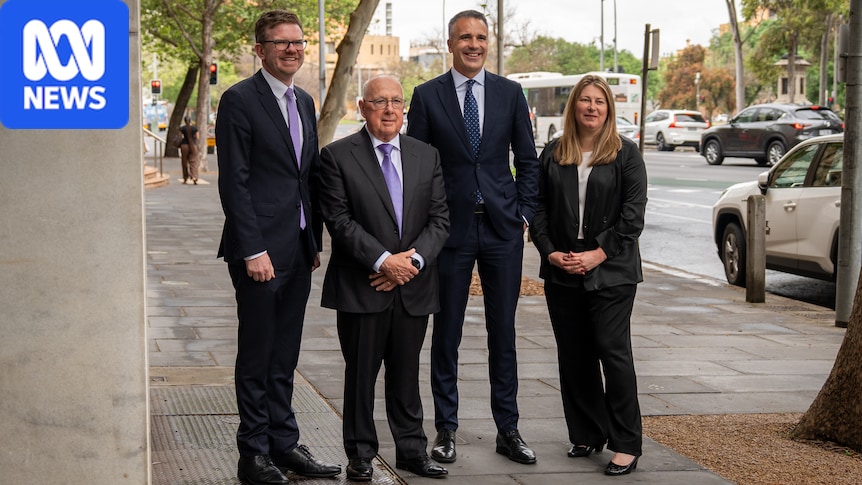 SA Premier announces three experts to lead Royal Commission into AI