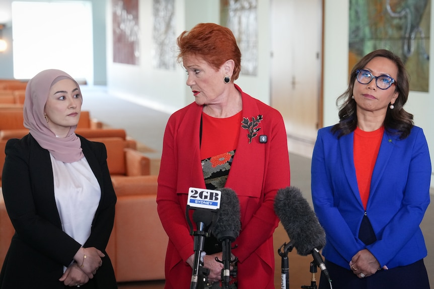Pauline Hanson, Fatima Payman and Dai Le speak at a press conference.