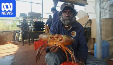 Emerging fisheries industry could be a 'game changer' for troubled remote community