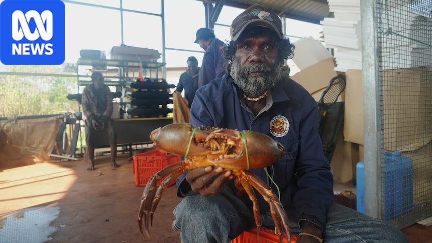 Emerging fisheries industry could be a 'game changer' for troubled remote community