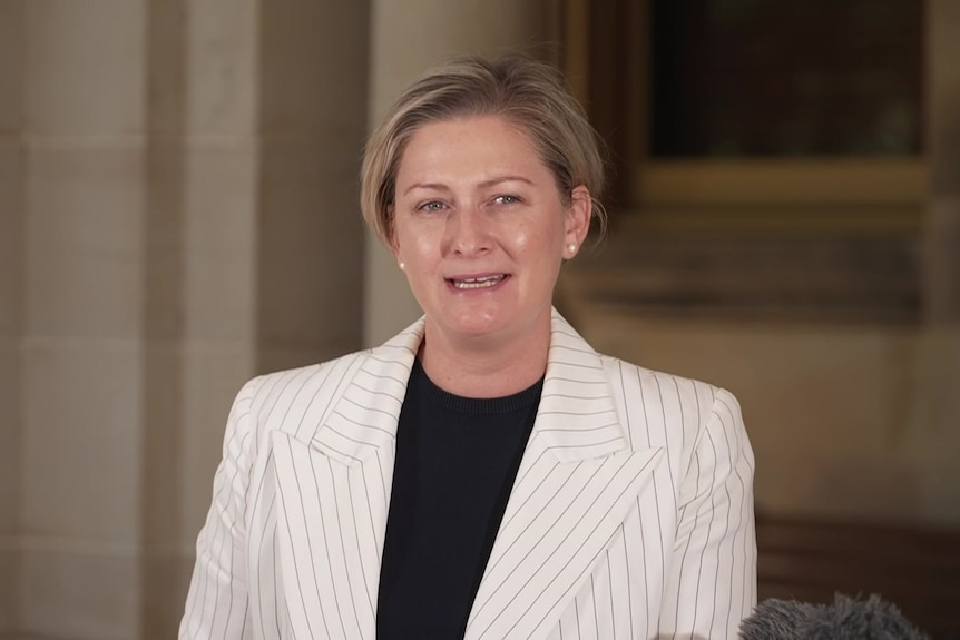 queensland child safety minister amanda camm speaks to press