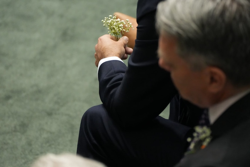 A close up of a man's hand holding a small bunch of white baby's breath flowers.