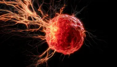 A protein that fuels cancer could also be the key to fighting it