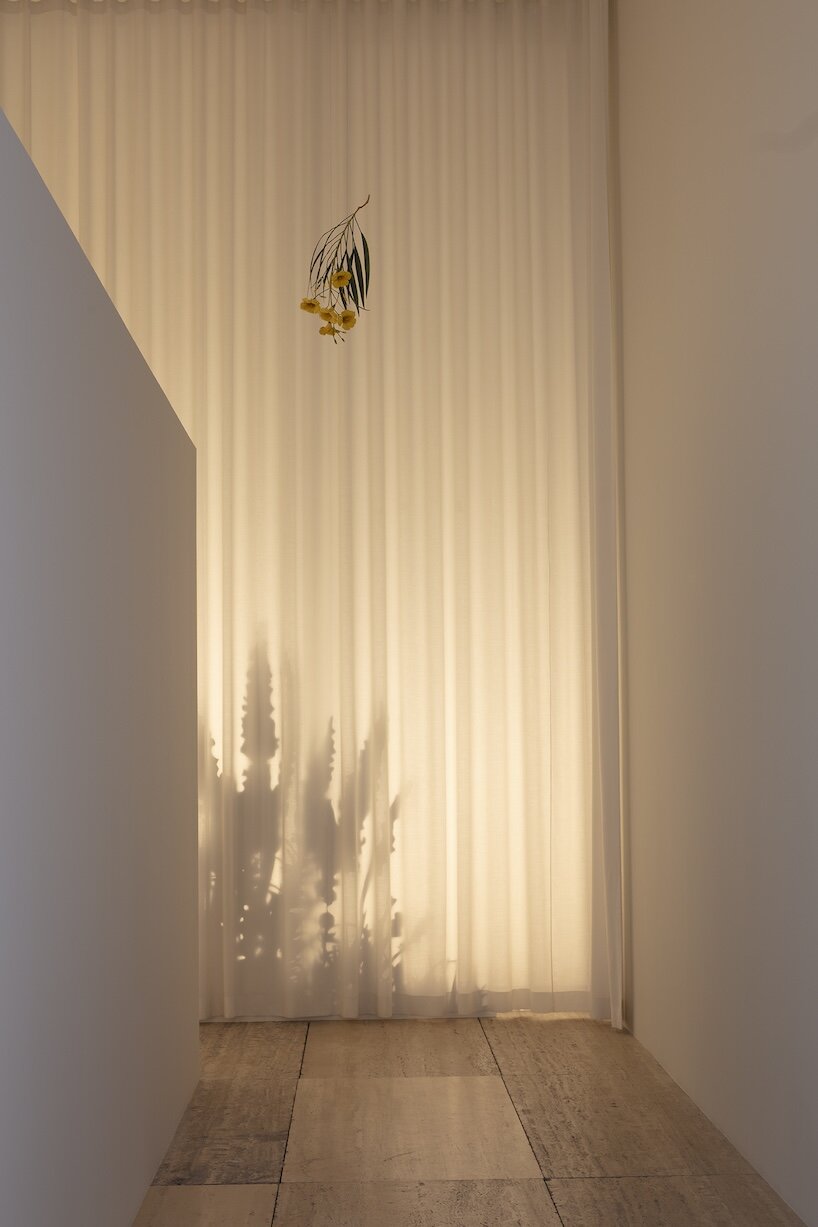 álvaro urbano brings casa cueva’s botanical memories to life at museo jumex in mexico city - 4
