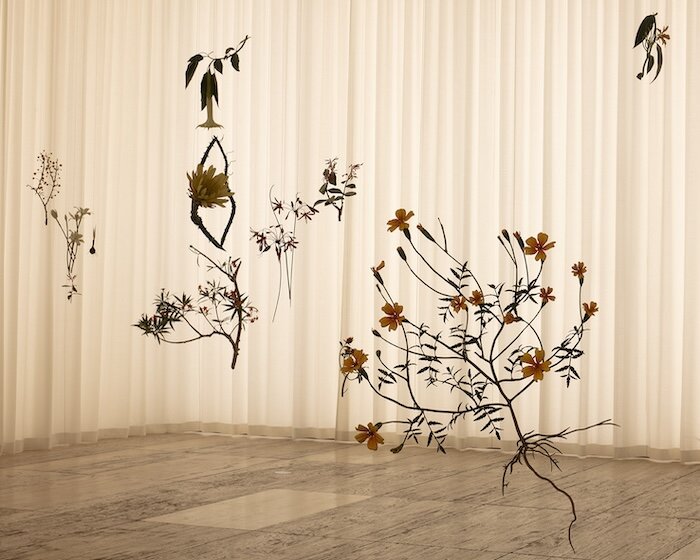 álvaro urbano revisits casa cueva at museo jumex