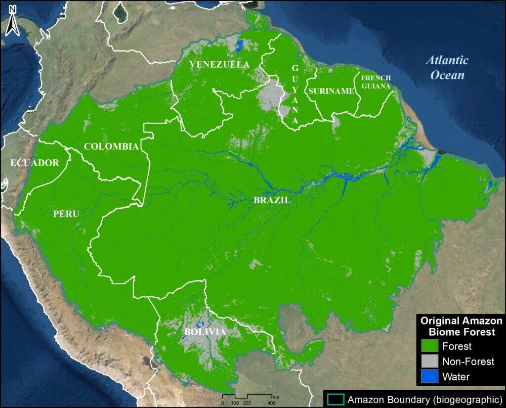 Original Amazon biome forest. Data: Amazon Conservation/MAAP. Source MAAP#164. Amazon biome forest