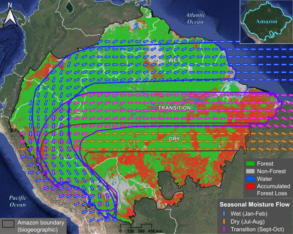 Amazon forest loss in flying rivers pathways. Data: Amazon Conservation/MAAP Amazon forest loss in flying rivers pathways