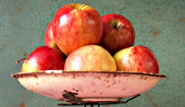 Eating apples with or without the skin: Experts explain the difference