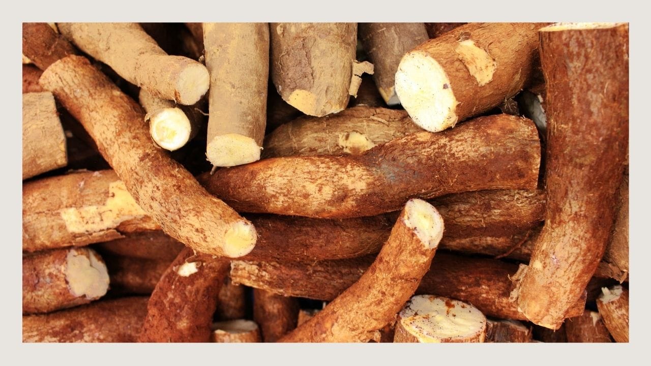 ashwagandha-root.jpg