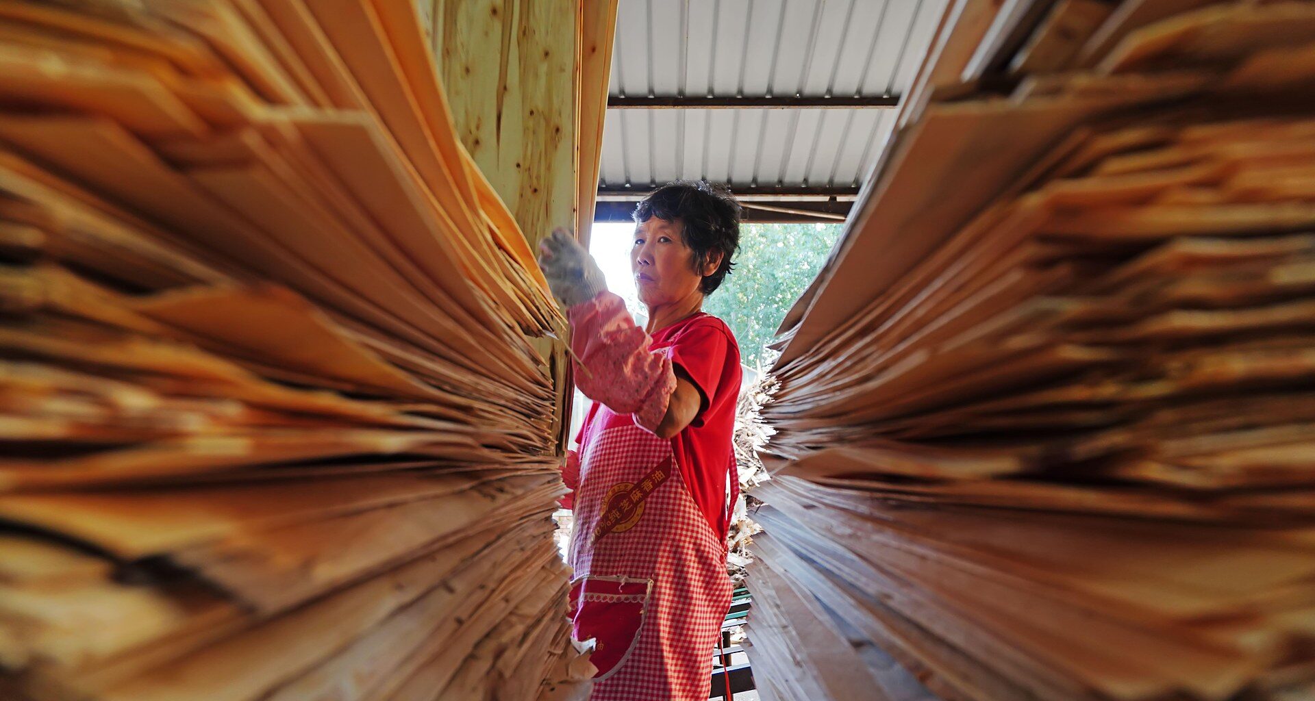 Australia Plywood and Panel Imports Hit $92 Million