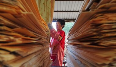 Australia Plywood and Panel Imports Hit $92 Million