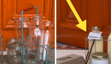Sydney grocery start-up Restore revives traditional doorstep milk run to cut plastic waste