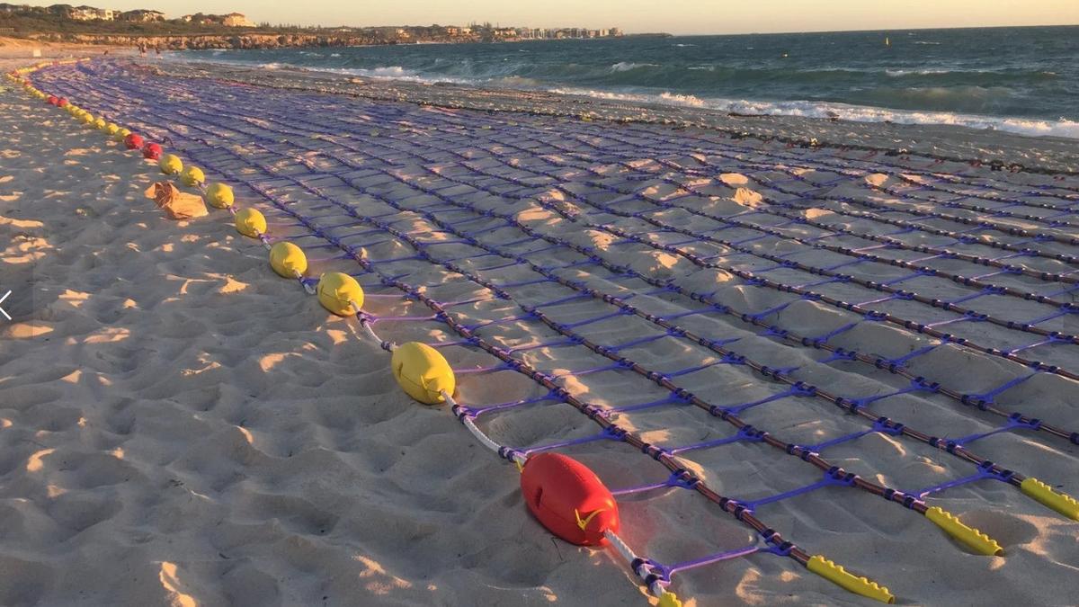 Shark barrier at Quinns Beach on track to return to the water