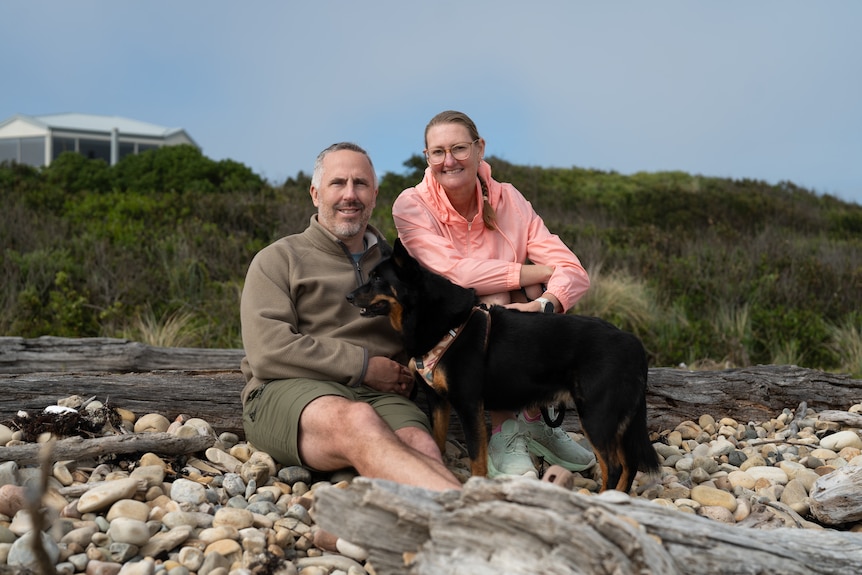 A man and a woman sit on the beach, with a dog, surrounded by driftwood and rocks.
