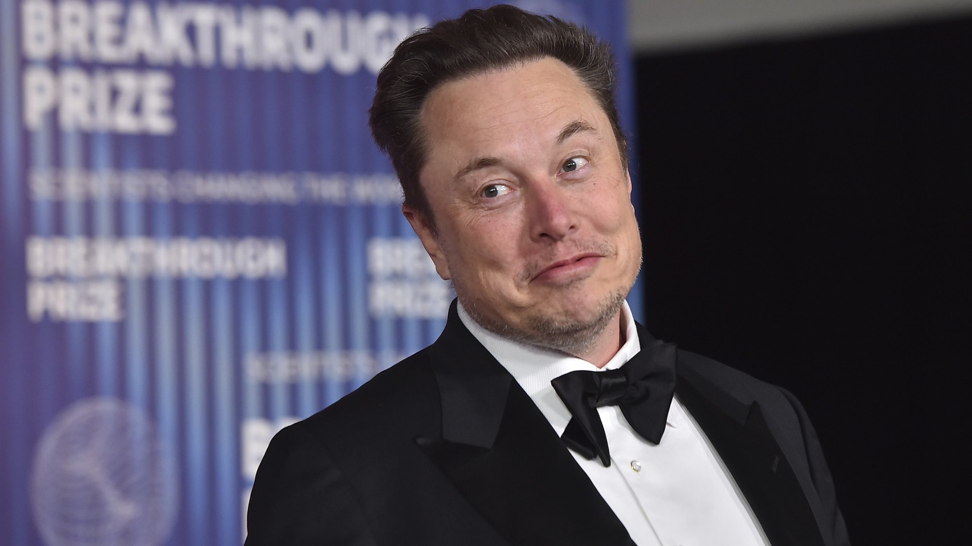 SpaceX surges seven per cent as AI stocks boom
